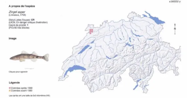 Figure  5b.    Carte  de  distribution  de  l’apron  en  Suisse  qui  reprend  les  observations  dans  la  boucle suisse du Doubs 