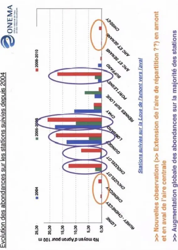 Figure 7. Abondance de l’apron dans les stations de la Loue suivies depuis 2004 (source : Huger  et Gindre, 2013- réf 39) 