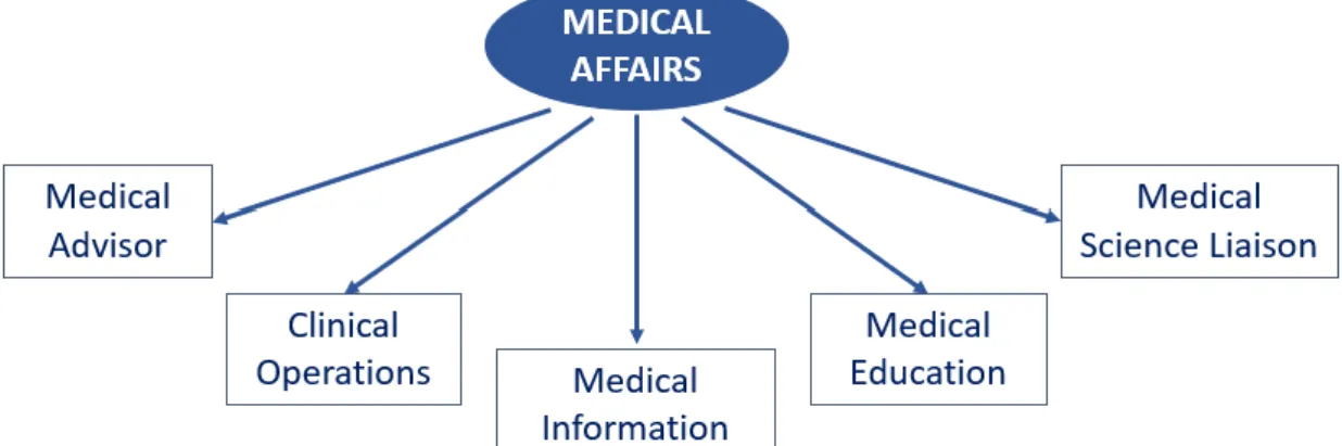 Figure n°1 : Medical Affairs main functions 