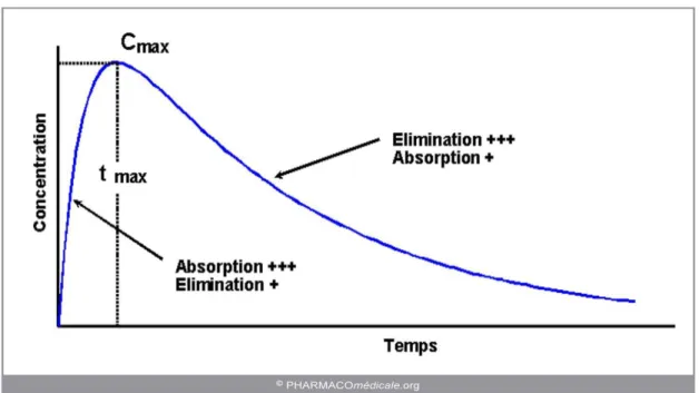 Figure 4 : Les paramètres analysés en étude de bioéquivalence. (14) 