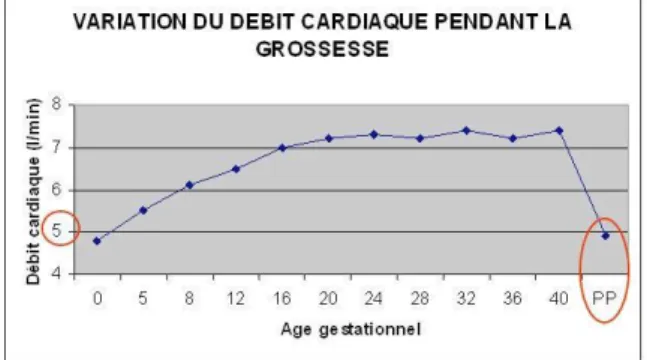 Figure 2. Variation du débit cardiaque pendant la  grossesse. Source: UVMaF.fr 