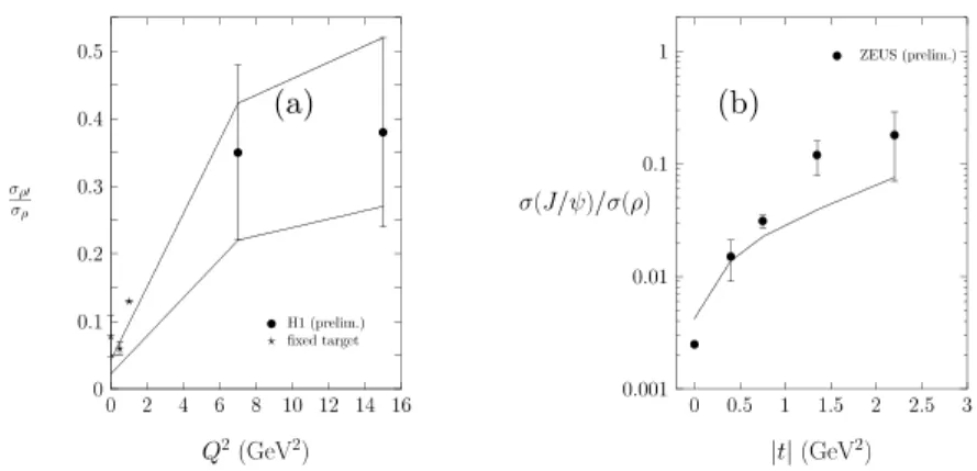 Figure 3: (a) Ratio of the ρ ′ production cross section to that of ρ as a function of Q 2 ; (b) Dependence of the ratio of the J/ψ to the ρ photoproduction cross sections as a function of t.