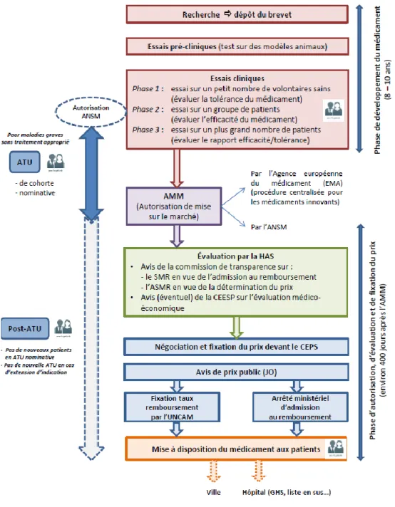 Figure 2 : Le parcours d’accès au marché et aux patients du médicament  (28) .  