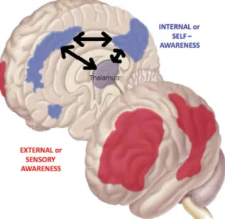 Fig. 13 The frontoparietal