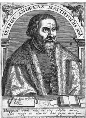 Fig. 1 : Portrait de Mat