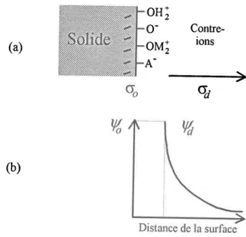 Figure 2.2:  (a)  schéma ilrustrant les diftrentes  espèces adsorbées (M: métal et A: anion) dans la couche compacte  et les contre-ions  dans la couche diftrse et (b) la diminution du potentiel électrique avec la distance de la surface pour le modèle de C
