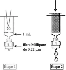 Figure 3.1: Système  utilisé pour filtrer sous  atmosphère  d'azote