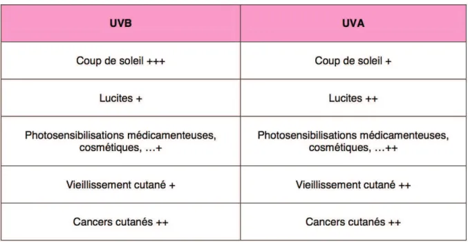 Tableau 5 : Effets néfastes des UVA et UVB à court et long terme 20 . 