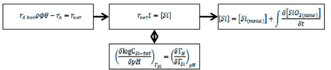 Fig. 2: Estimation procedure for Si concentration in soil water and groundwater by taking into 1115 