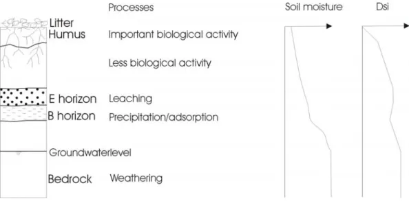 Fig. 3: Typical podzol soil profile in temperate climate. Processes and soil moisture vary with 1119 