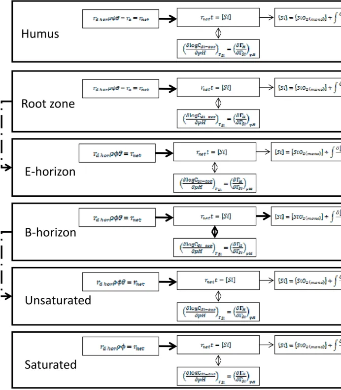 Fig. 4: Conceptual model of the transport of DSi through each horizon of a podzol soil