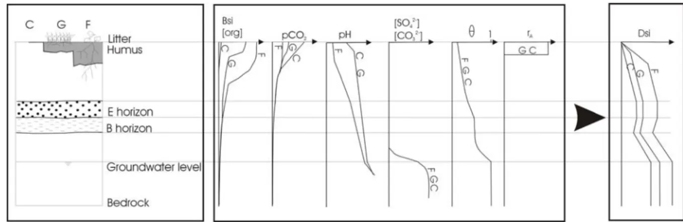 Fig. 5: Relative importance of the parameters (BSi, [org], pCO2, pH, [SO 4 2- ],[CO 3 2- ],θ, r A ) 1131 