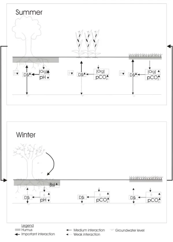 Fig. 6: Processes influencing the DSi dissolution in soils of forests, croplands and grasslands 1136 