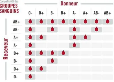 Tableau N°III : Compatibilité sanguine (21) 