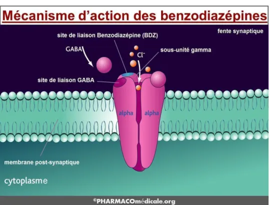 Figure 1- Mécanisme d'action des benzodiazépines 