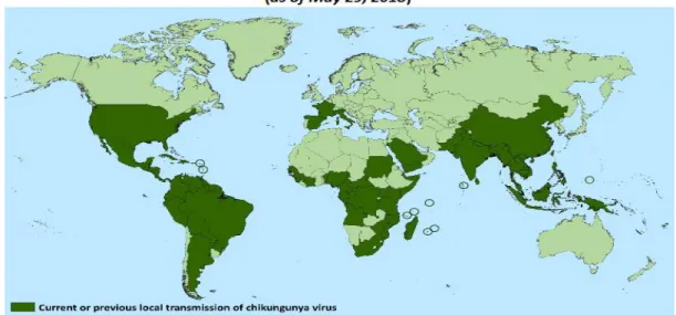 Figure n°4 : pays et territoires où des cas de chikungunya ont été signalés (2018). 