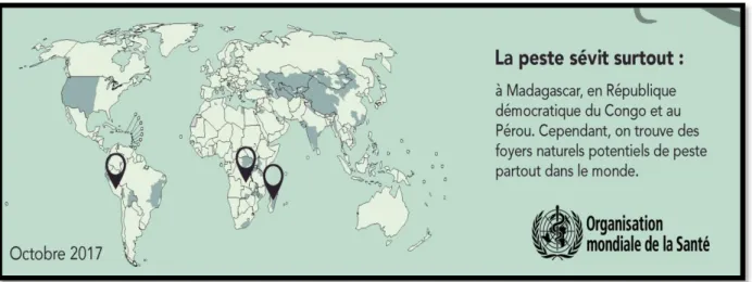 Figure n°13 : Répartition de la peste dans le monde selon l’OMS. 
