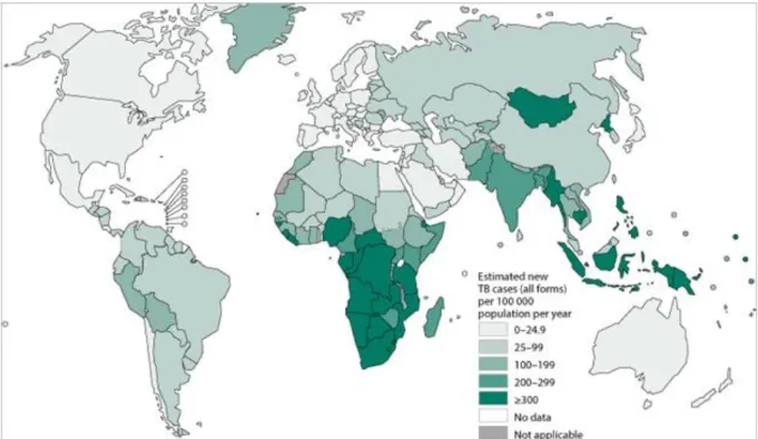 Figure n°19 : Nombre estimé de nouveaux cas de tuberculose (toutes les formes) par an  pour 100 000 habitants