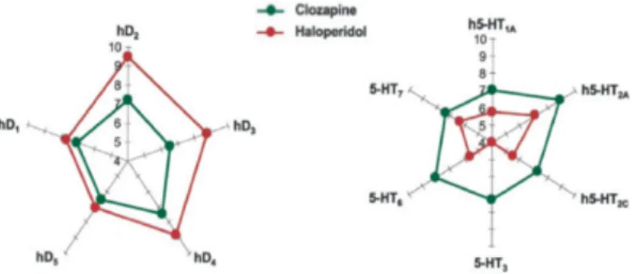 Figure 10 : affinité de l’halopéridol et de la clozapine pour les récepteurs dopaminergiques (gauche) et les  récepteurs serotoninergiques (droite) 