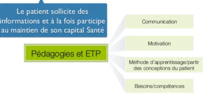 Figure 5. Les fondations éducatives de l'ETP, centrées sur le patient 12