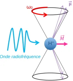 Figure 3 : Perturbation de 