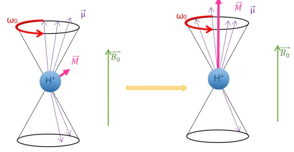 Figure 4 : Phénomène de résonnance magnétique nucléaire