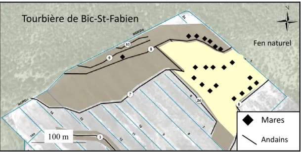 Figure 2 Répartition des mares de la tourbière en restauration de Bic-Saint-Fabien. 