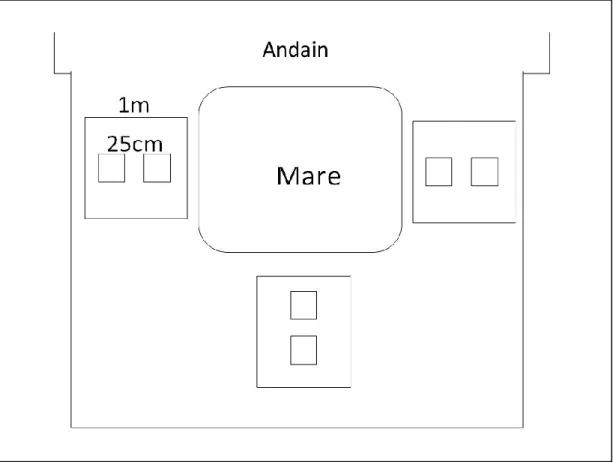 Figure 3 Schéma d’échantillonnage de la végétation autour des mares artificielles de la tourbière en  restauration de Bic-Saint-Fabien, pour les analyses avec les dytiques