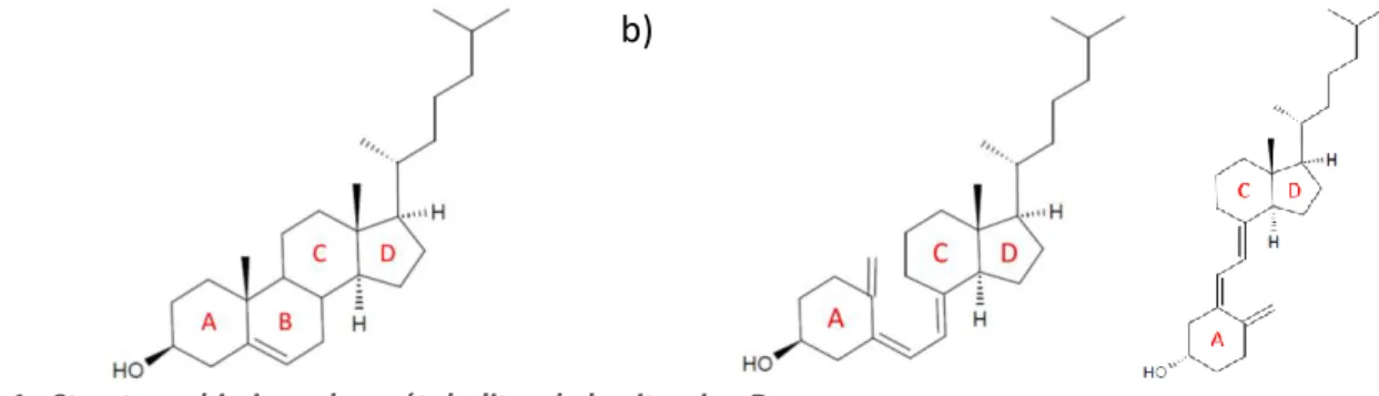 Figure 1 : Structure chimique des métabolites de la vitamine D 