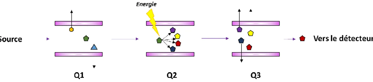 Figure 17 : Principe de fonctionnement du mode MRM en spectrométrie de masse en tandem triple quadripôle