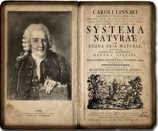 figure gg : Portrait de Linné et de son œuvre « Species Plantarum » publiée en  g7gg (source : pinterest.com)