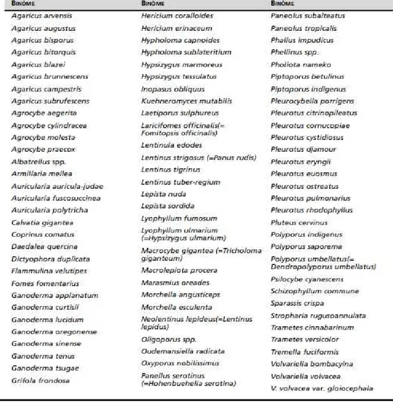 tableau g : Liste des champignons comestibles et médicinaux pouvant être  cultivés (source : FAO.org)