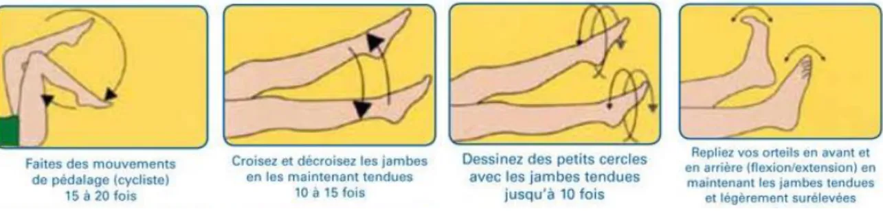 Figure 26 : Gymnastique vasculaire 