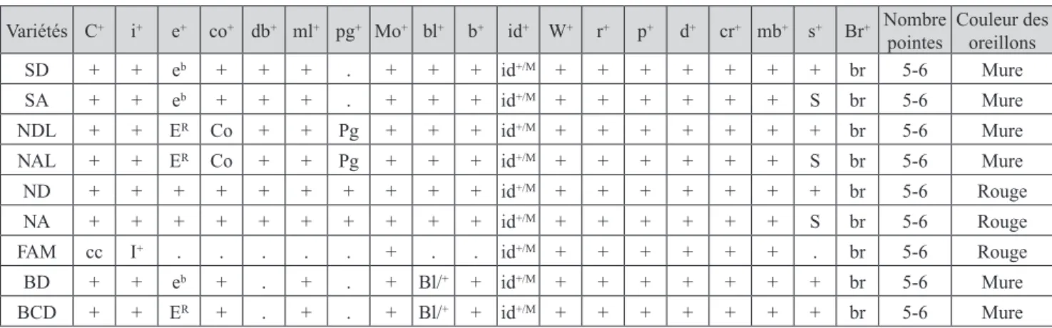 Figure 2 : Comparaison du poids des différentes variétés d’Ardennaise avec les  souches Coq de Pêche, CoqArd et le croisement Famennoise et Ardennaise, Coqs