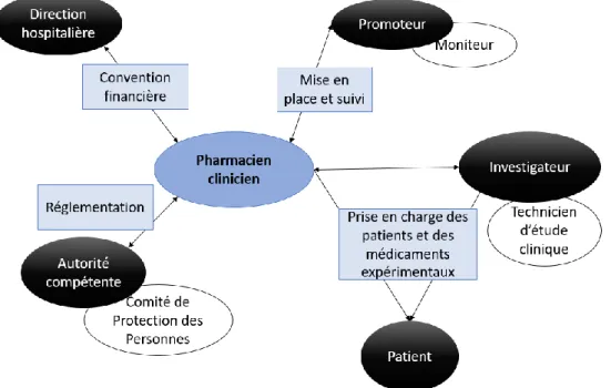 Figure 7 : Place du pharmacien dans la recherche biomédicale 