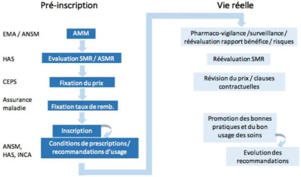 Figure 2 : Place des études en vie réelle dans la vie du médicament 