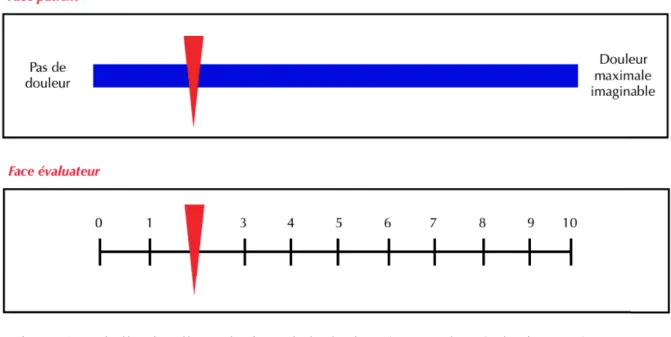 Figure 5 : Schéma corporel (auteur, d’après le site n°56)