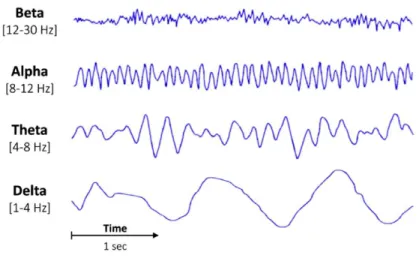 Figure 7 : Les différents types d’onde en EEG (Benerradi, 2019)