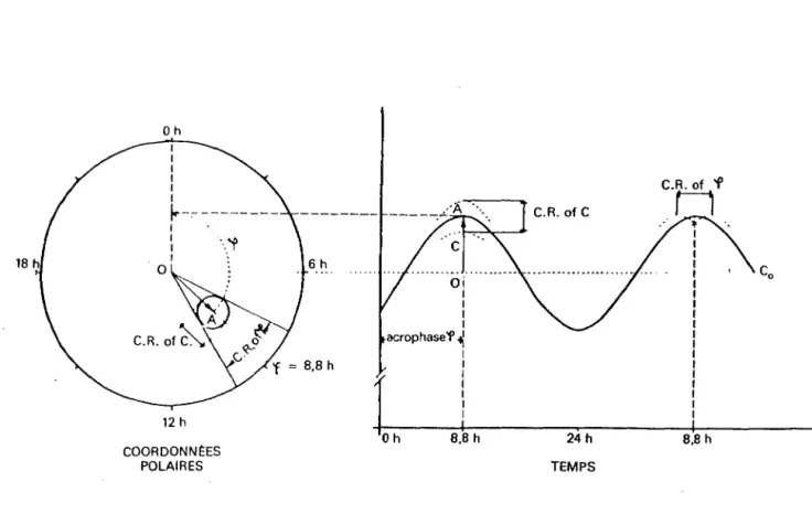 Figure  4  :  Représentation  des  paramètres  des  rythmes  en  coordonnées  polaires  (50) 