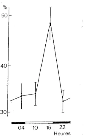 Figure  13  :  Rythme  circadien  de  la  fraction  libre  de  la  lidocaïne  chez  le  rat  déterminée  30  minutes  après  administration  à  04.00  h,  10.00  h,  16.00  h,  ou  22.00h 