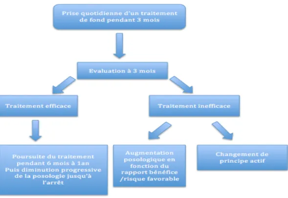Figure 2 : Schéma récapitulatif de l'évaluation du traitement de fond 