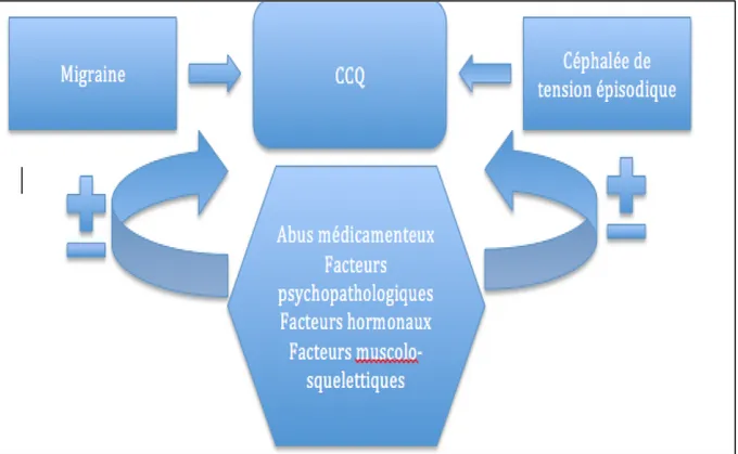 Figure 4 : Les principaux mode d'évolution vers une CCQ (21) 