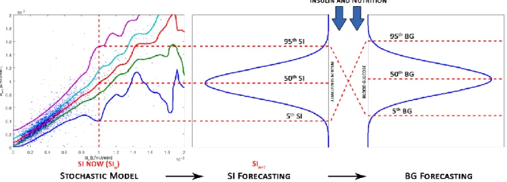 Fig.  1.  STAR  uses  stochastic  models  to  forecast  change  in  SI  based  on  current  SI  value,  and  determines  BG  outcomes  for  given insulin and nutrition intervention 