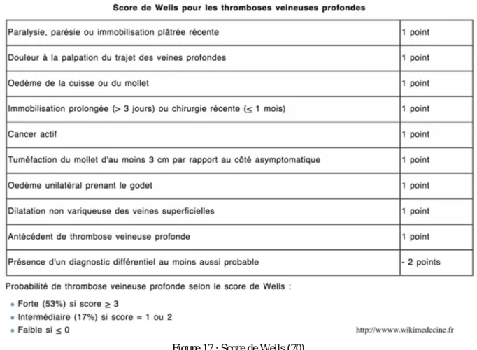 Figure 17 : Score de Wells (70) 