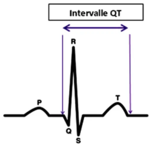 Figure 9 : L'intervalle QT sur l'ECG. (Adapté de [11]) 