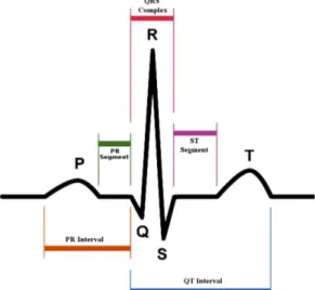Figure 6- ECG de l'activité normale du cœur (44)