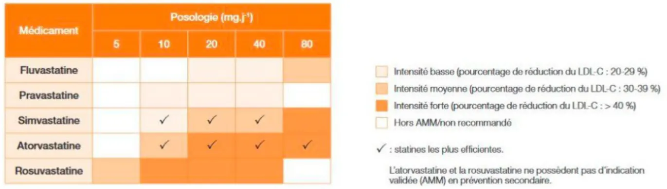 Figure 14- Classification des statines en fonction de leur posologie       et de l'intensité des effets (82)