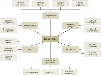 Figure 23 ; Classification des hydrogels inspiré par Patel et al. (117) 