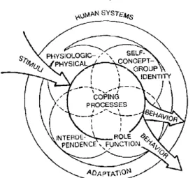 Figure 1 : Modèle d’adaptation de Roy (2009, p.45)  2.1.1 Environnement 