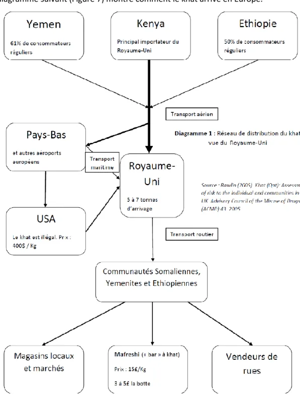 Figure 7 : Réseau de distribution du khat vue du Royaume-Uni (90). 